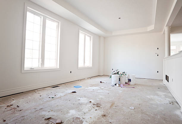 Professional Mold Removal in Hackberry, TX