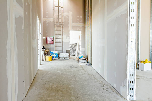 Best Dehumidification Services  in Hackberry, TX